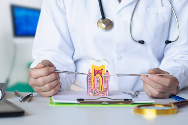 Best Emergency Treatment for Oral Infections in Sterling, AK
